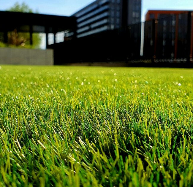 Gras zaaien 