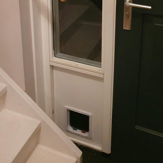 Install cat flap