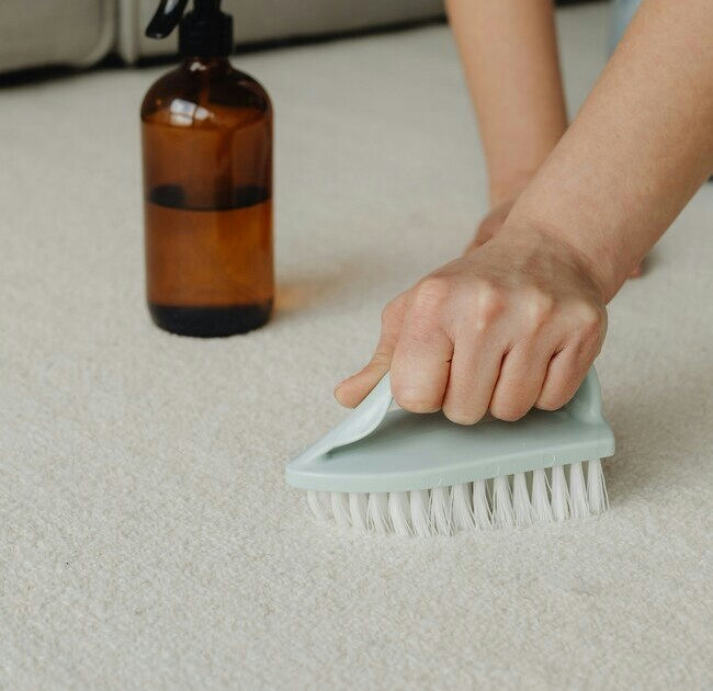 Clean carpet 