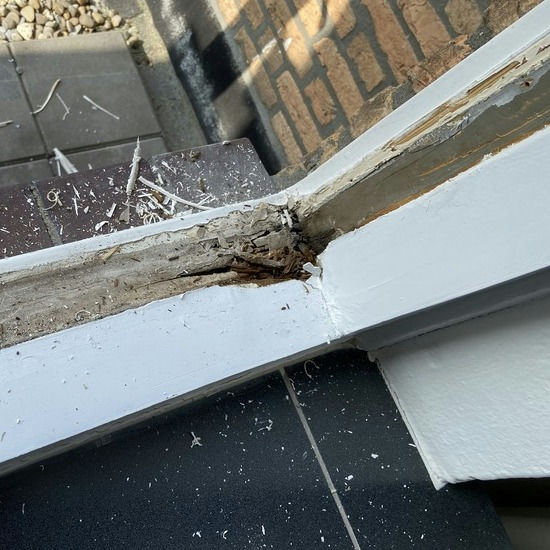 Fix wood rot