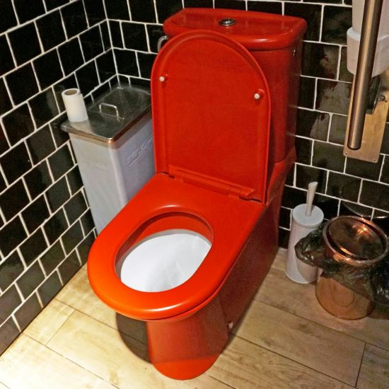 Replace toilet seat 