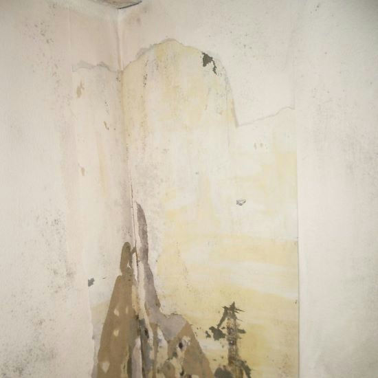 Remove wallpaper 