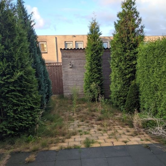 Gardener in Eindhoven 