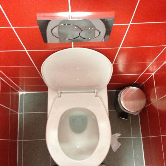 Unclog toilet