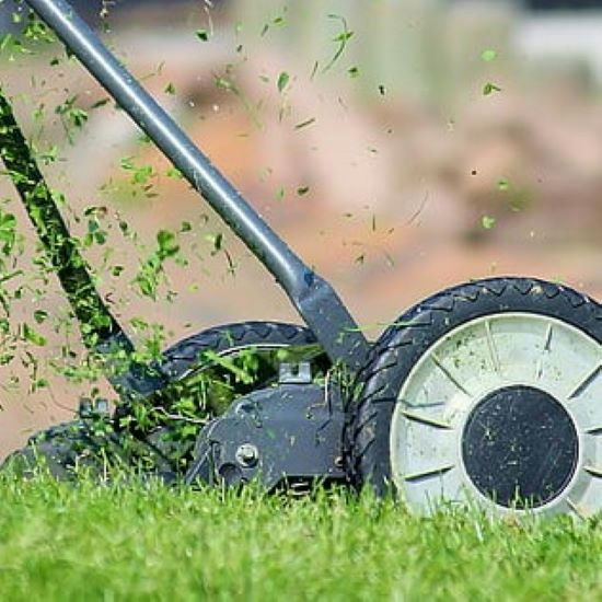 Garden maintenance