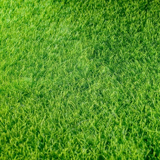 Gras zaaien