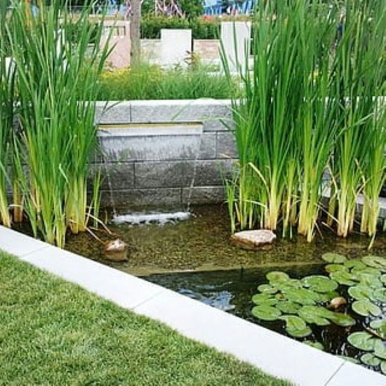 Tuinontwerp 