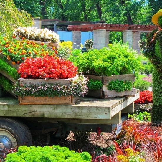 Gardener in Eindhoven