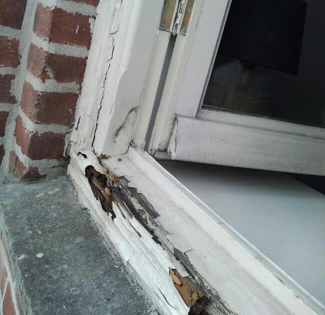 Fix wood rot 