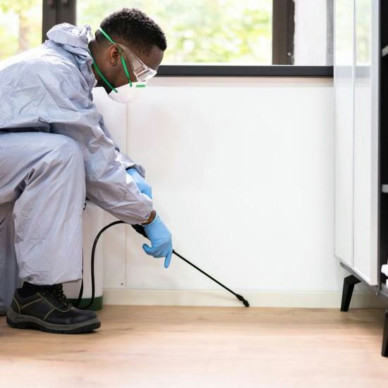 Pest control