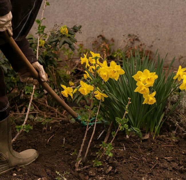 Bloemen planten 