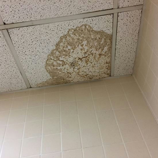 Water damage