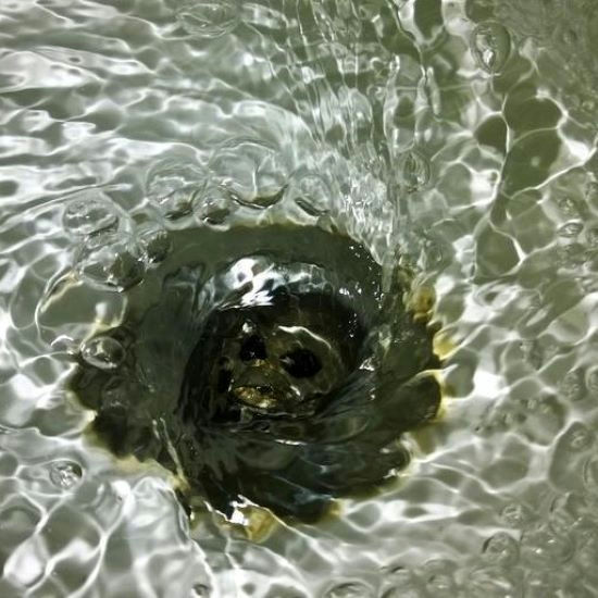 Kitchen drain clogged 